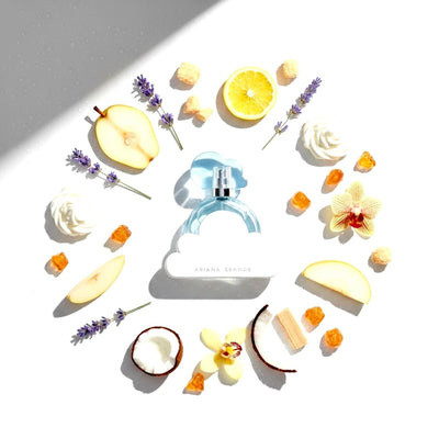 Cloud Fragrance Notes