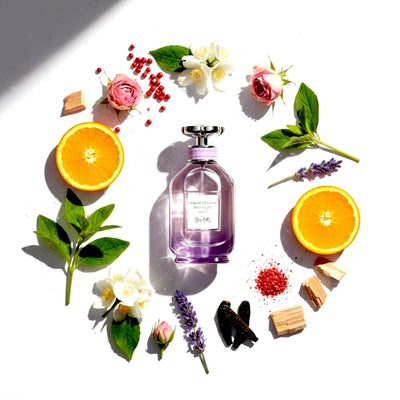 coach dreams moonlight perfume-notes