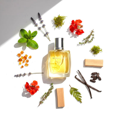 For Men EDT Spray Notes