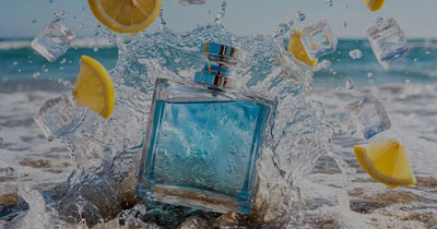 10 Best Citrus Aromatic Fragrances for Men