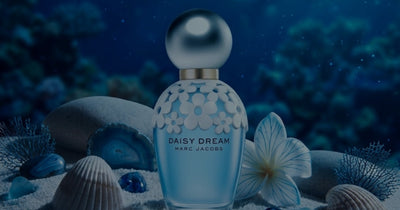 Best Women’s Perfumes for Summer 2025 – Arabian & Designer Picks That Last
