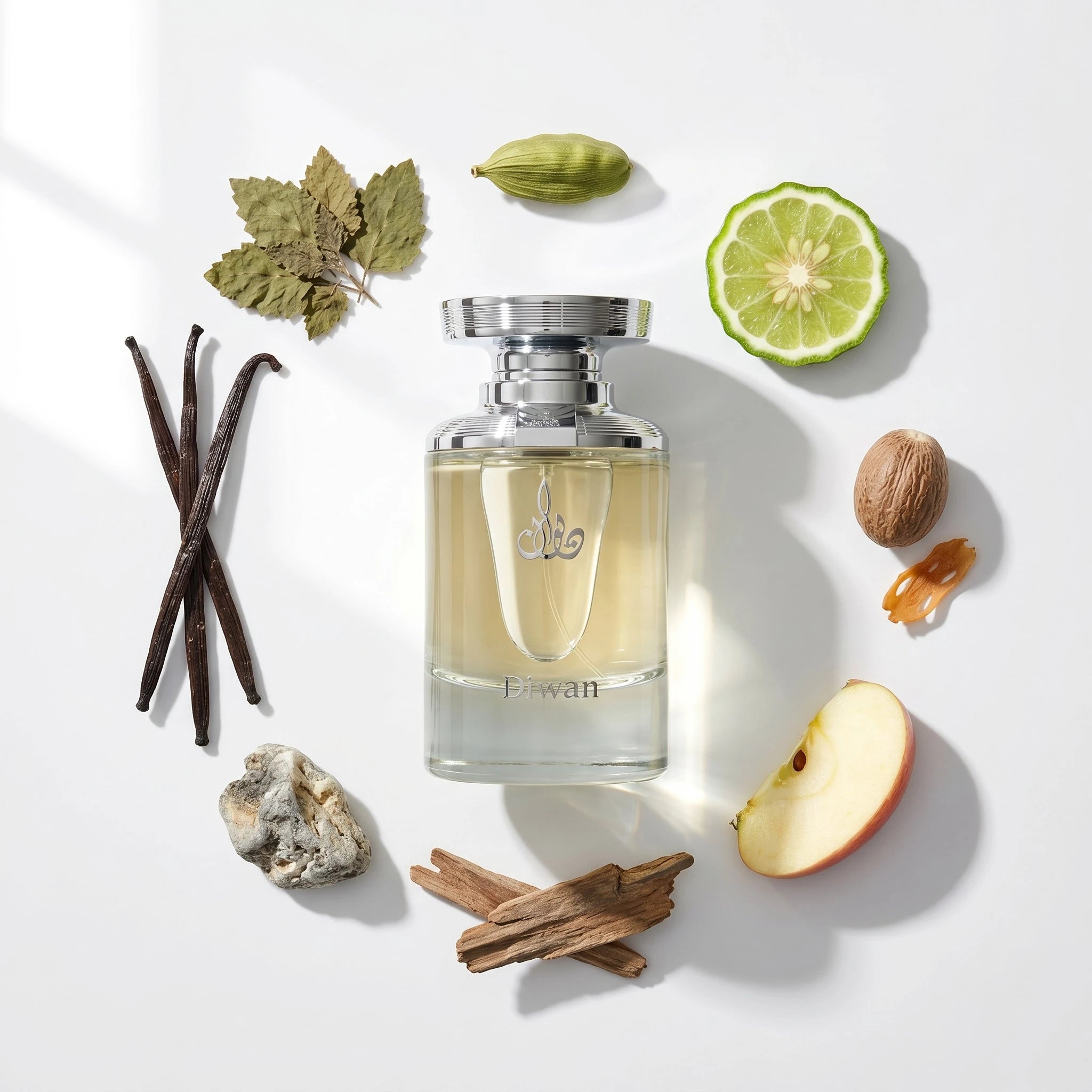 Diwan EDP Notes