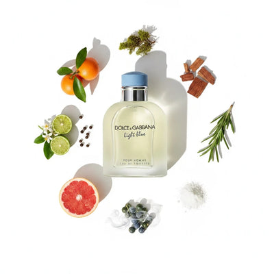 Dolce & Gabbana Light Blue pour Homme EDT Notes
