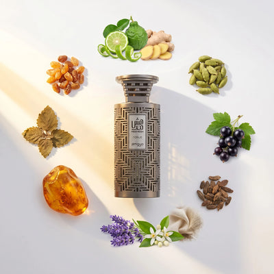 Modhesh Noble Zimaya fragrance notes - bergamot, ginger, cardamom, black currant, orange blossom, musk, lavender, amber, patchouli