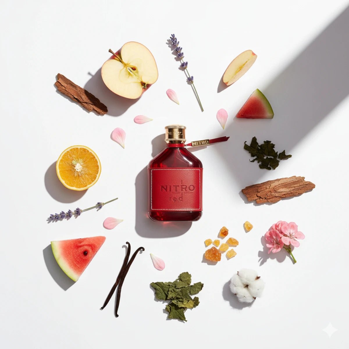 Nitro Red EDP Spray Notes