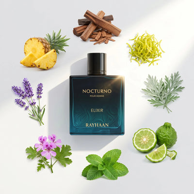 Rayhaan Nocturno Elixir for Men Notes
