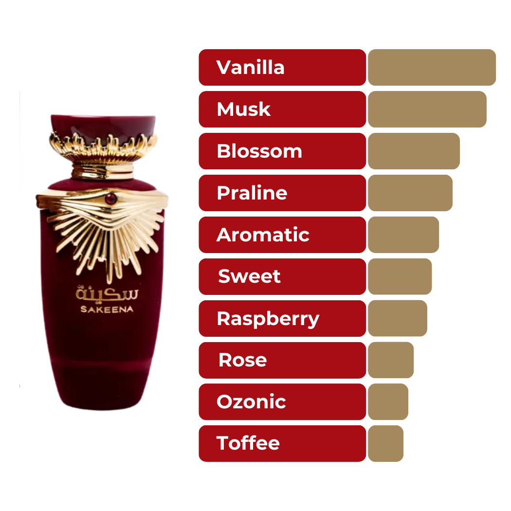 Lattafa Perfumes Sakeena 3.4oz 100ml