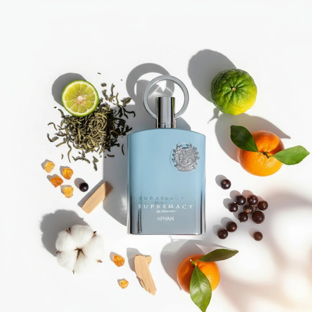 Supremacy In Heaven Notes