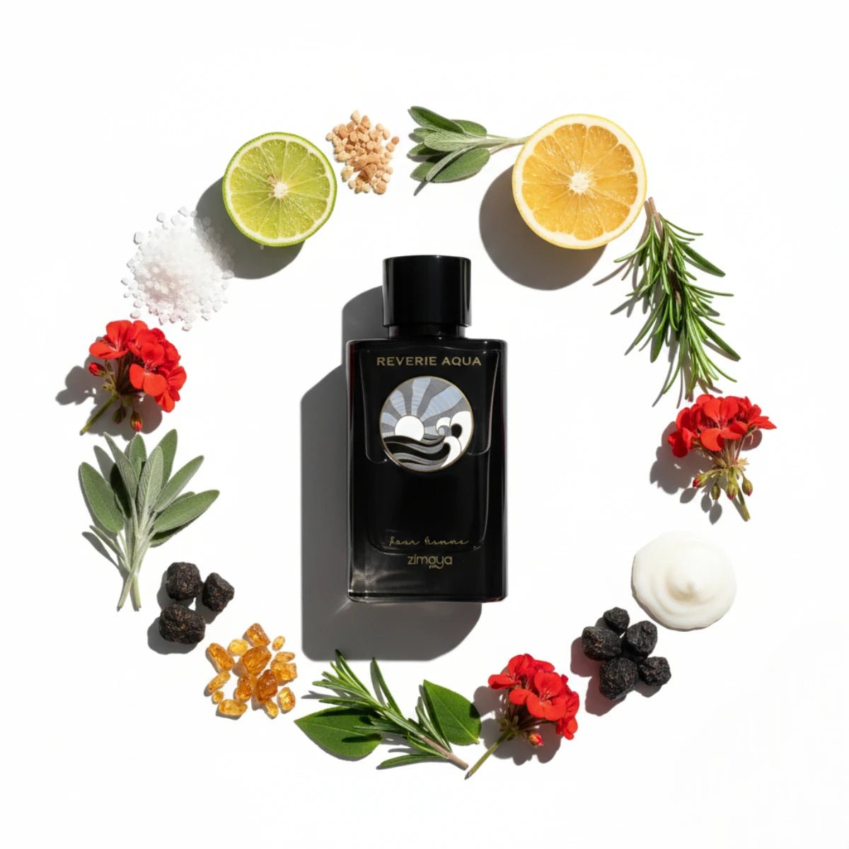 Zimaya Reverie Aqua Pour Homme Notes