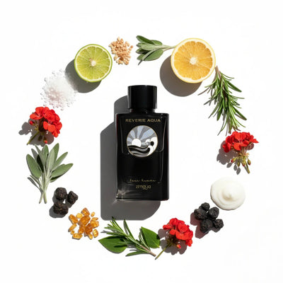 Zimaya Reverie Aqua Pour Homme Notes