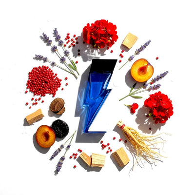 Bad Boy Cobalt EDP Spray