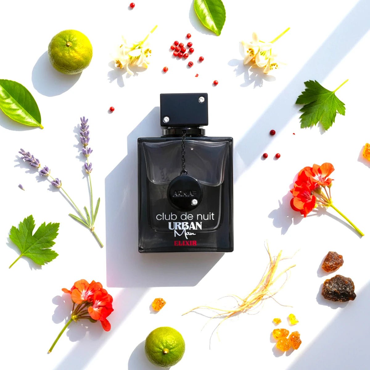 Club de Nuit Urban Elixir