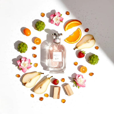coach dreams perfume notes