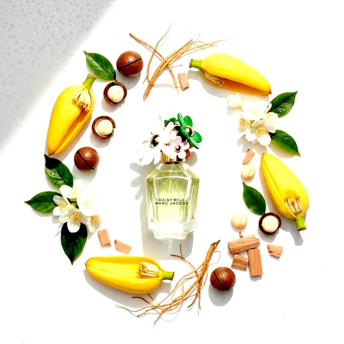 Daisy Wild EDP Spray Notes