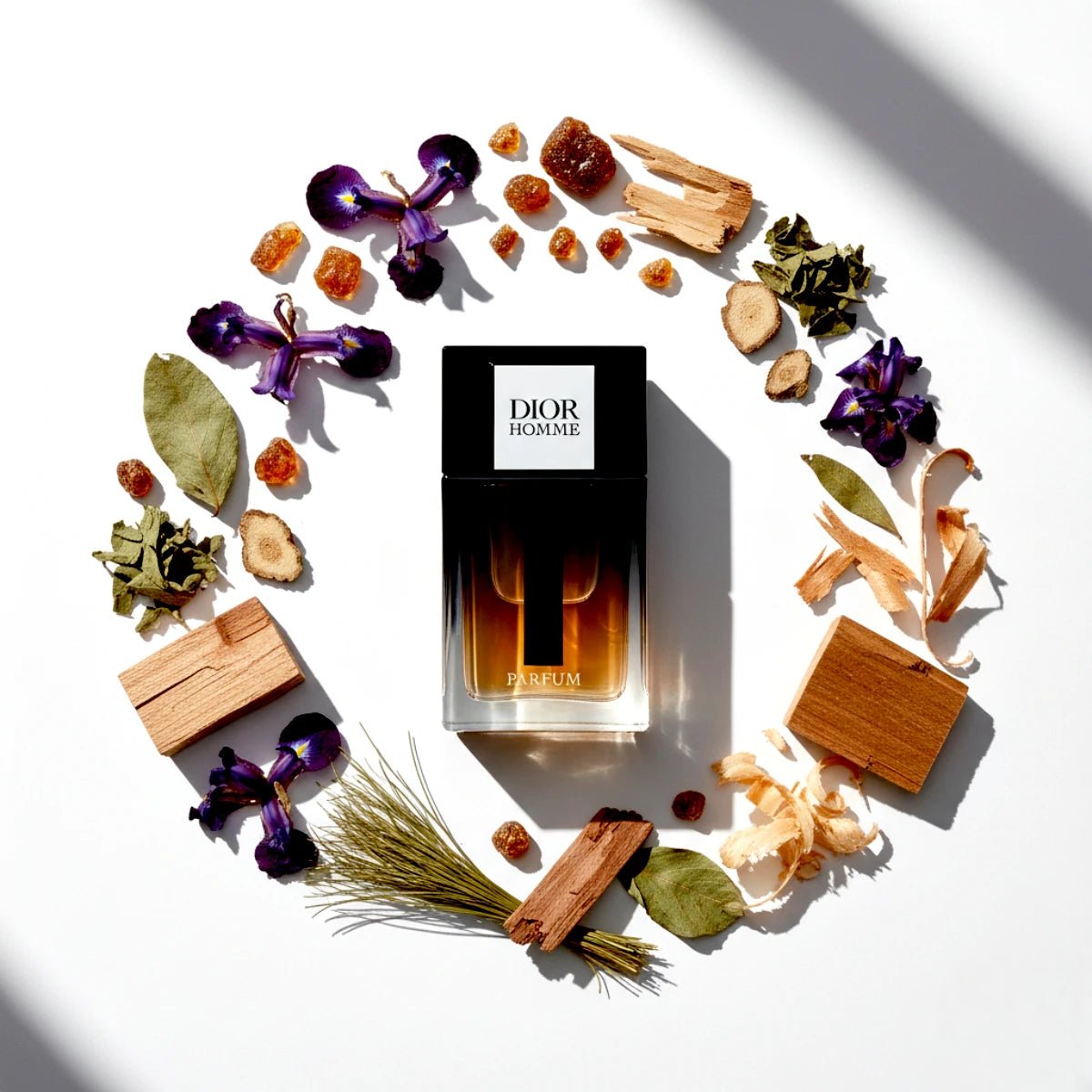 Homme 2025 Parfum Notes