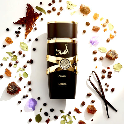 lattafa asad perfume vanilla amber spice notes