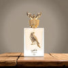 Lattafa Perfumes Shaheen Gold 3.4oz 100ml