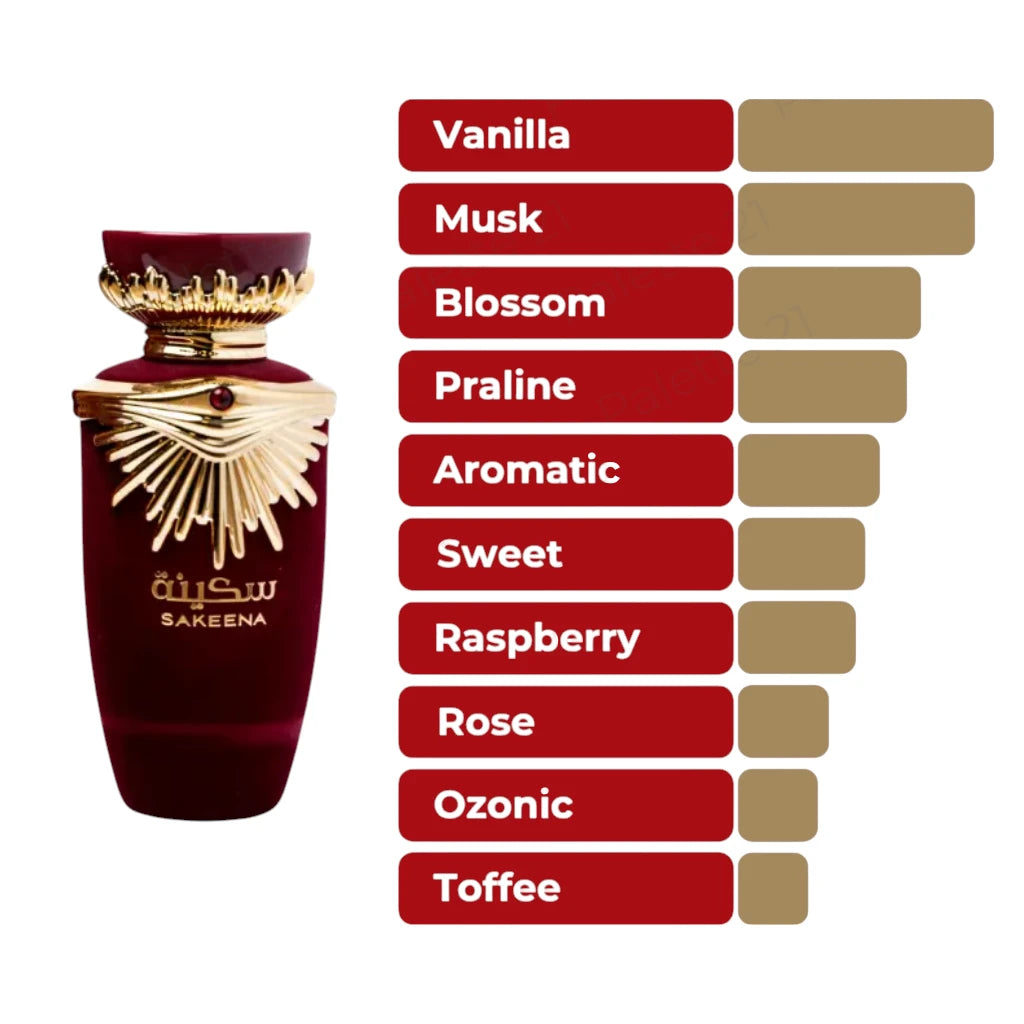 Lattafa Perfumes Sakeena 3.4oz 100ml