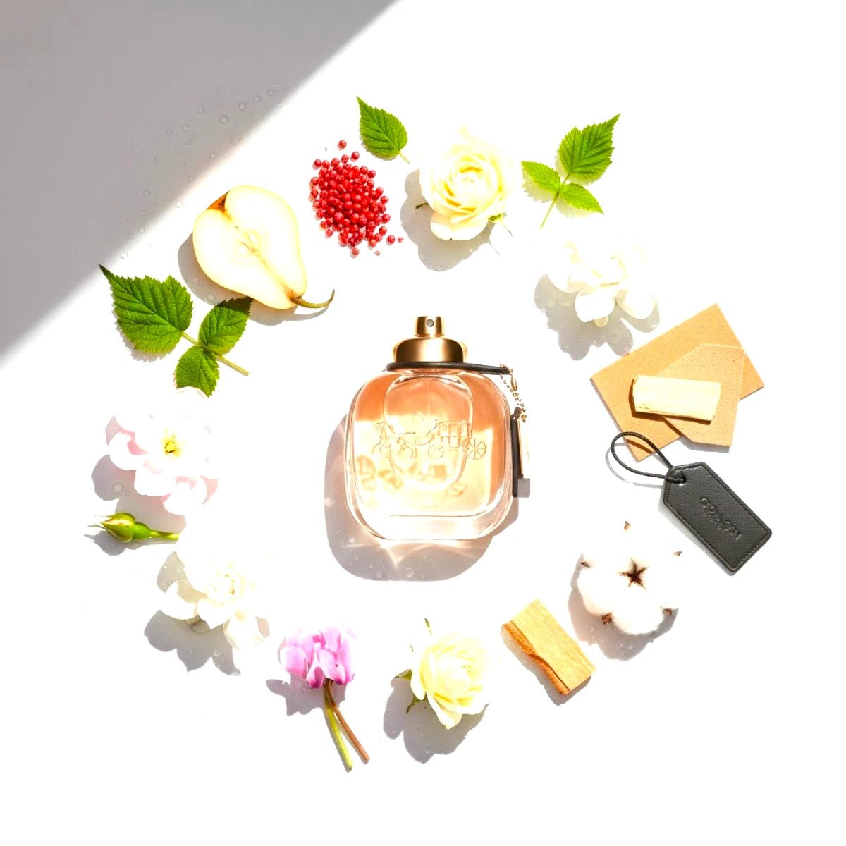 New york Women EDP Notes