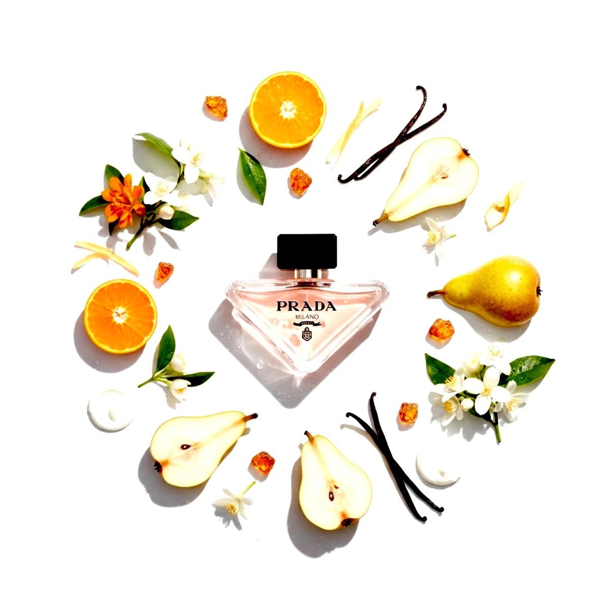 Paradoxe EDP Spray notes