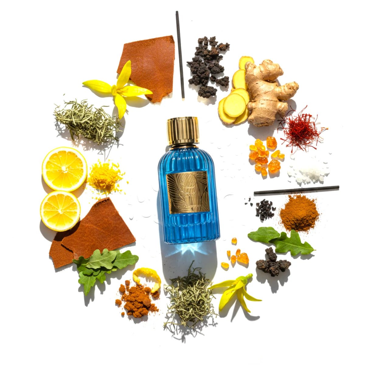 Qissa EDP Spray Notes